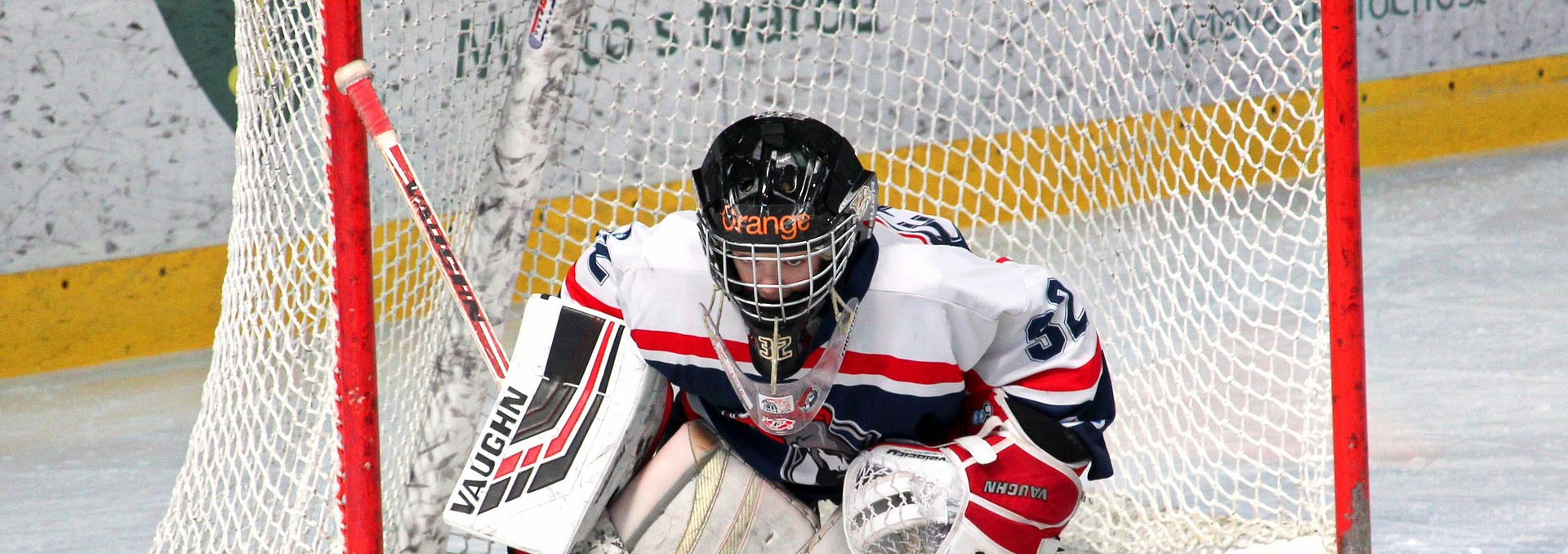 Sports Pulleys Store -Sports Pulleys Store hockey 4408281 1920